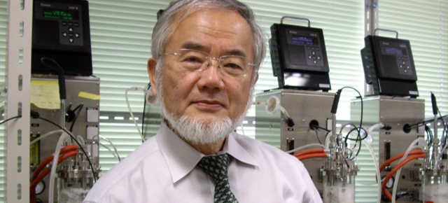 yoshinoriohsumi